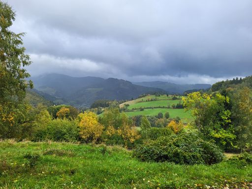 Herbststimmung beim Schönenberg